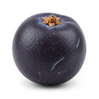 Juniper Berry