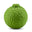 Kaffir Lime