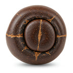 Laotian Oud