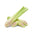 Lemongrass