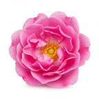 May Rose