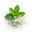 Menthol