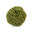 Mossy Notes
