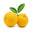 Neroli