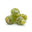 Omani Green Frankincense