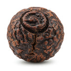 Oud