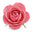 Persian Rose