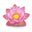 Pink Lotus