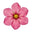 Raani Flower