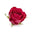 Rose de Mai absolute