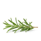 Rosemary