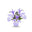 Rosemary Blossom