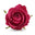 Rose Otto