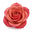 royal rose