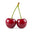 Sour Cherry