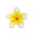 Thai Frangipani