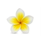 Thai Frangipani