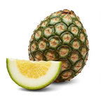 نوتات استوائية