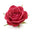 Turkish Rose