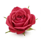 Turkish Rose