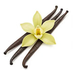 Vanilla