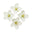 White Flowers