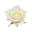 White Rose