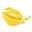 Ylang-Ylang